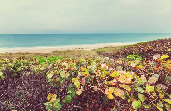 Beautiful ocean beach — Stock Photo, Image