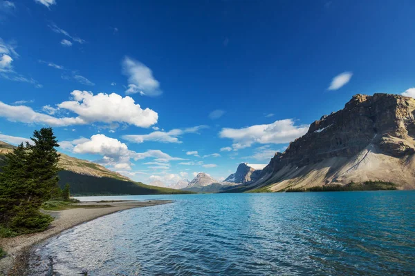 Lago Bow, Icefields Parkway — Fotografia de Stock