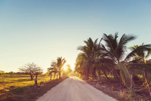 Route des saletés dans la jungle reculée — Photo