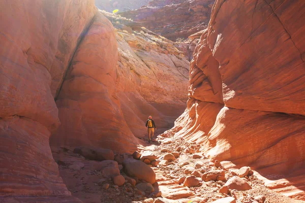Турист в каньоне Слот — стоковое фото