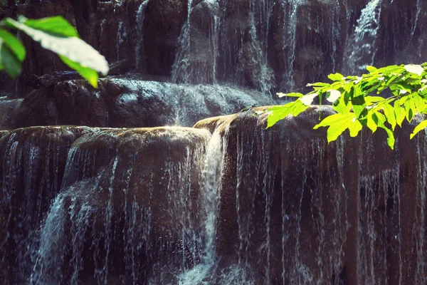在丛林中，墨西哥的瀑布 — 图库照片