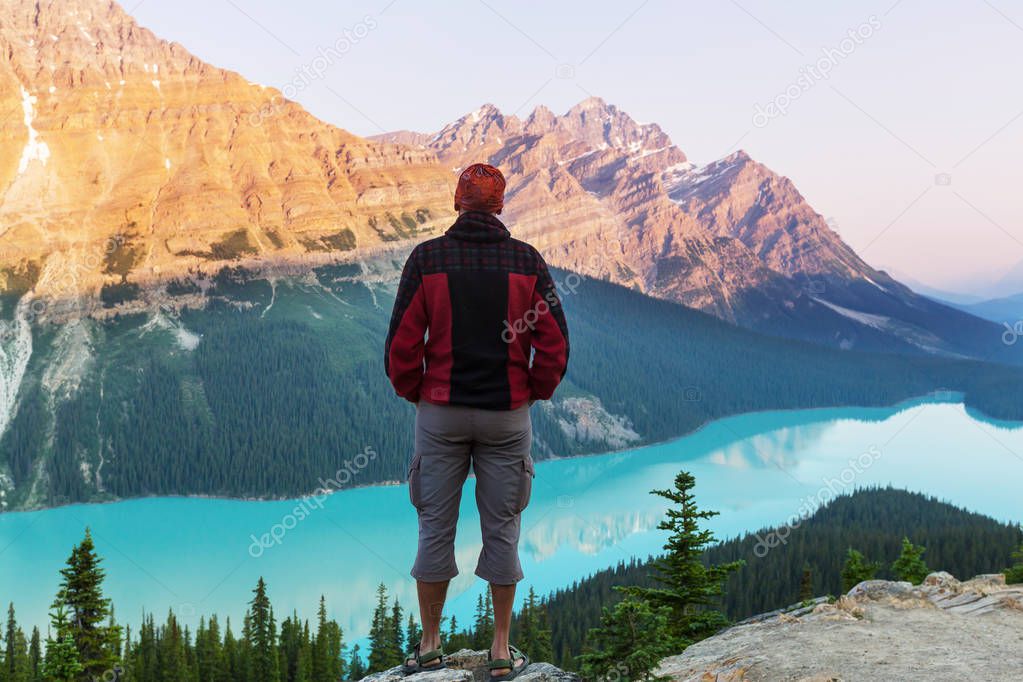 man near Peyto lake