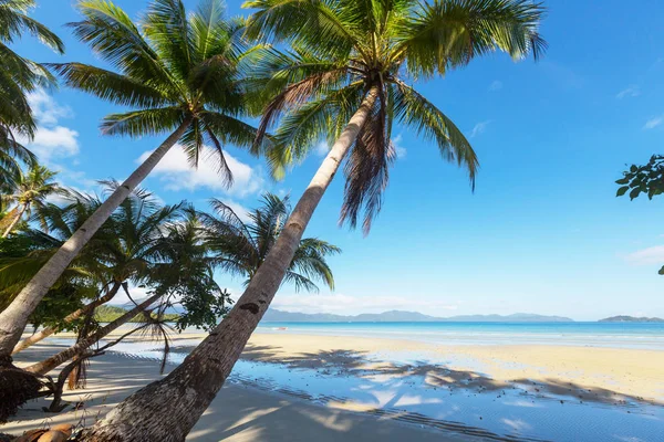 Serenity тропічний пляж — стокове фото