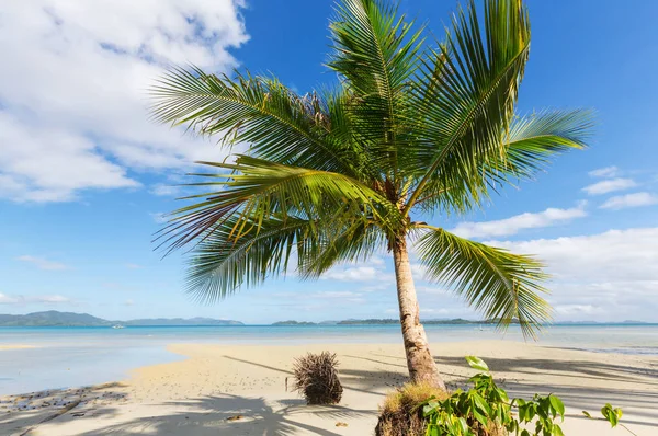 Serenity tropical beach — Stock Photo, Image