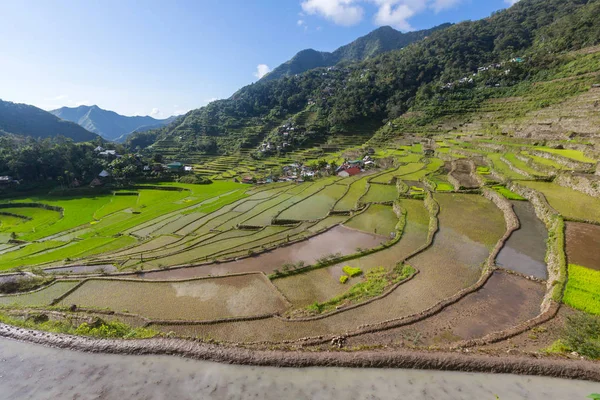 Beautiful Green Rice terraces — Stock Photo, Image