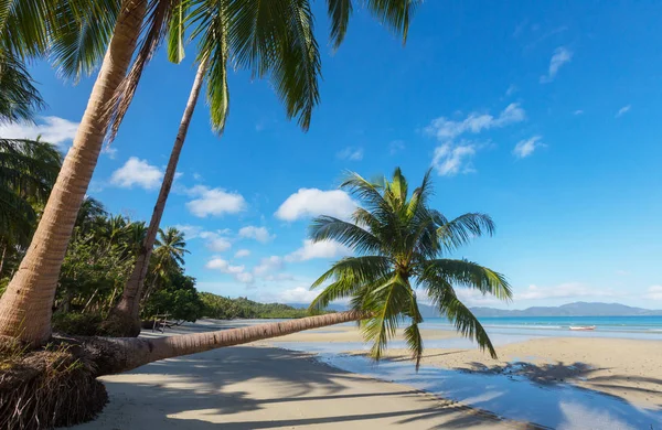 Sérénité plage tropicale — Photo