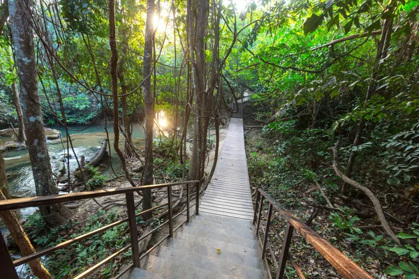 Wooden walkway in jungle — Stock Photo, Image