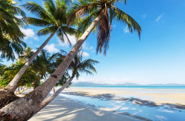 Serenity tropikal plaj