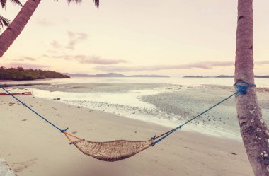 Serenity tropikal plaj