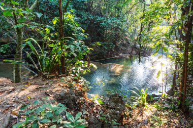 Yağmur ormanlarında güzel şelale