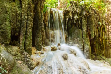 Yağmur ormanlarında güzel şelale