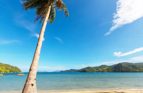 Serenità spiaggia tropicale — Foto Stock