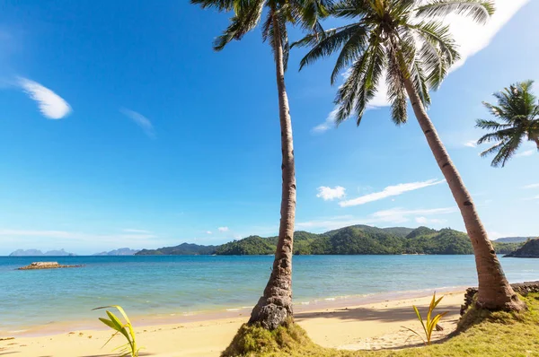 Serenidade praia tropical — Fotografia de Stock