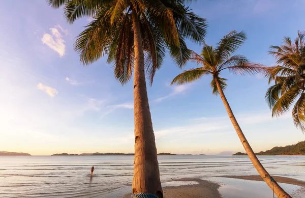 Sérénité plage tropicale — Photo