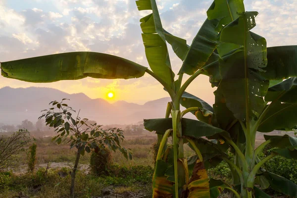 Paisagens rurais no norte da Tailândia — Fotografia de Stock