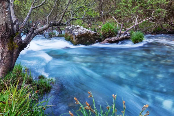 Hermoso río pequeño — Foto de Stock