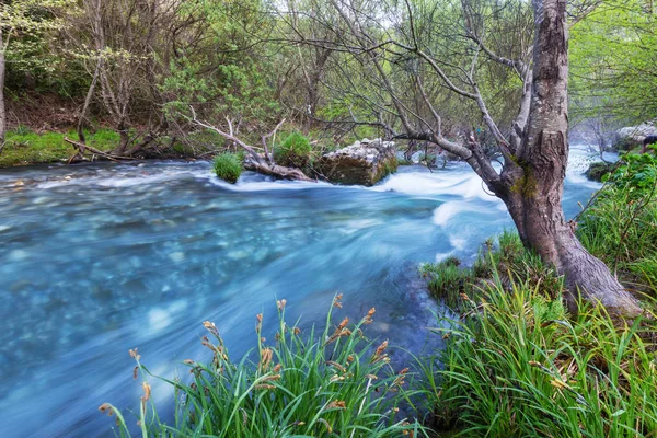 Belo pequeno rio — Fotografia de Stock