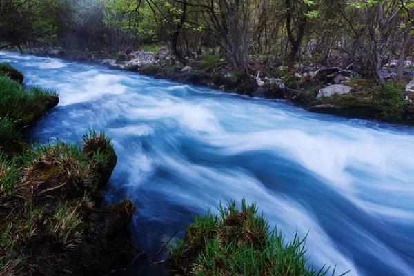 Hermoso río pequeño — Foto de Stock