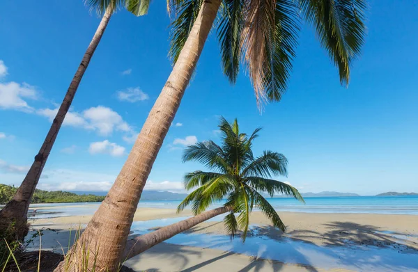 Ruhe tropischer Strand — Stockfoto