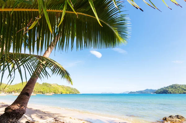 Serenità spiaggia tropicale — Foto Stock