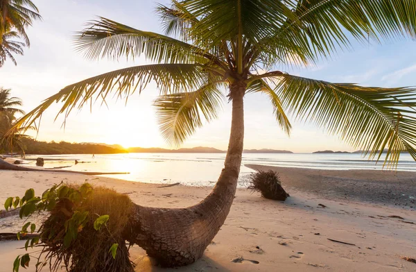 Serenidade praia tropical — Fotografia de Stock