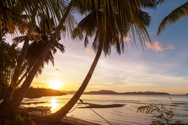 Ruhe tropischer Strand — Stockfoto