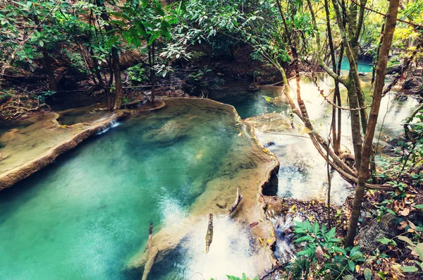 Krásný vodopád v deštném pralese — Stock fotografie