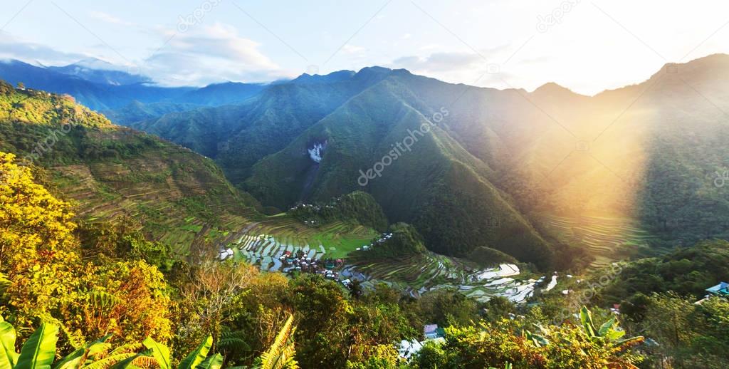 Beautiful Green Rice terraces 