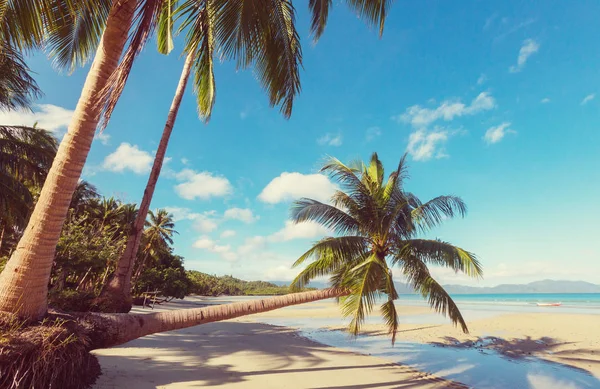 Serenity tropical beach — Stock Photo, Image