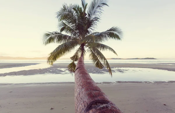 Serenity tropical beach — Stock Fotó