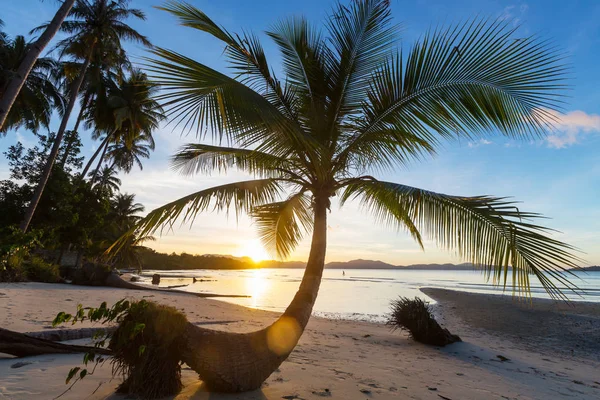 Ruhe tropischer Strand — Stockfoto