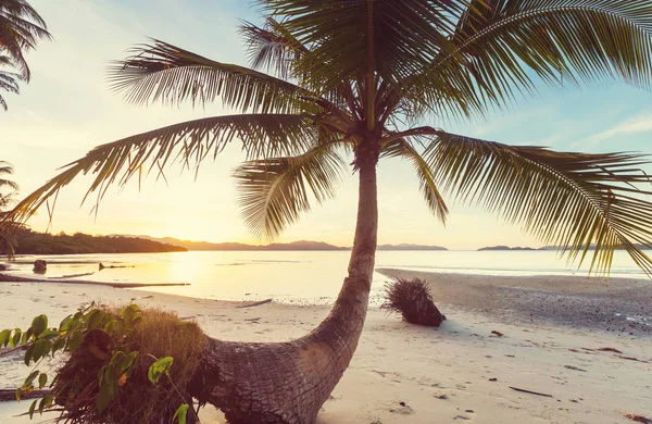 Rust tropisch strand — Stockfoto