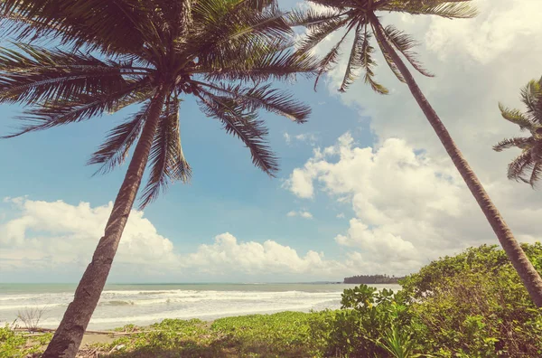 Serenità spiaggia tropicale — Foto Stock