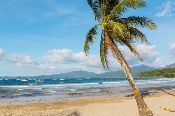 Sérénité plage tropicale — Photo