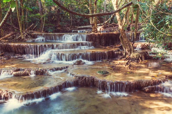 Krásný vodopád v deštném pralese — Stock fotografie