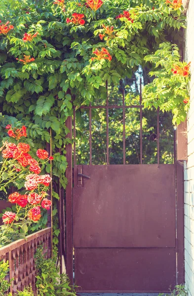 Porte dans jardin verdoyant — Photo