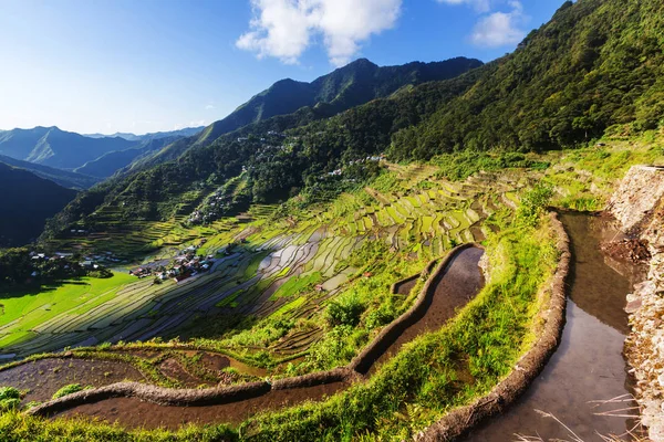 Beautiful Green Rice terraces — Stock Photo, Image