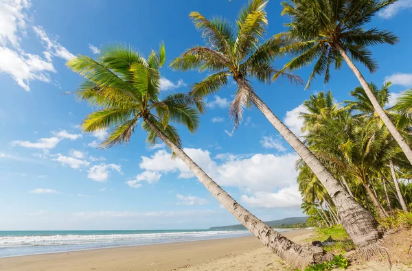 Serenità spiaggia tropicale — Foto Stock