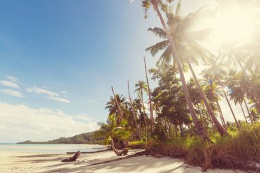 Serenity tropikal plaj