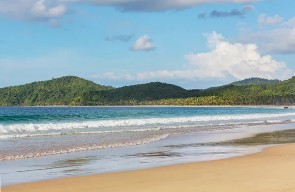 Île de Palawan, Philippines . — Photo