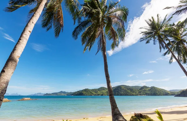 Île de Palawan, Philippines . — Photo