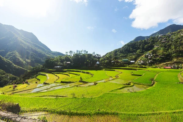 Belos terraços de arroz verde — Fotografia de Stock