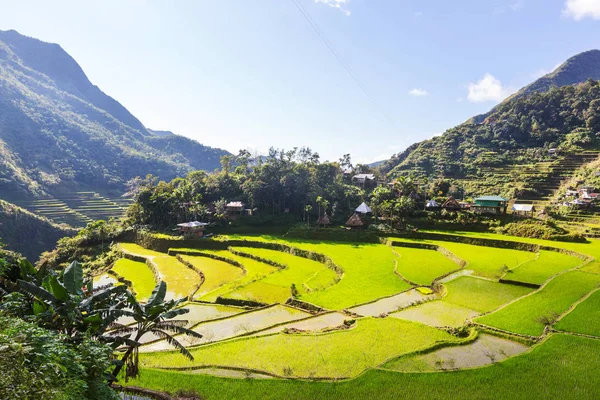 Belos terraços de arroz verde — Fotografia de Stock