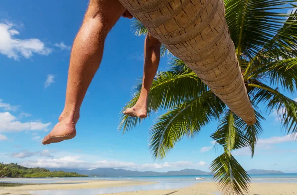 Serenity tropical beach — Stock Photo, Image