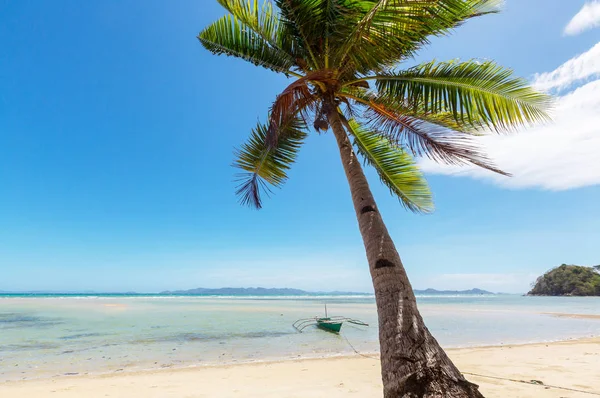 Serenity tropical beach Stock Photo