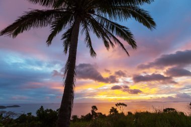 Şaşırtıcı doğal görünümü