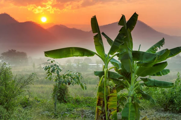 Kuzey Tayland 'da kırsal alanlar — Stok fotoğraf