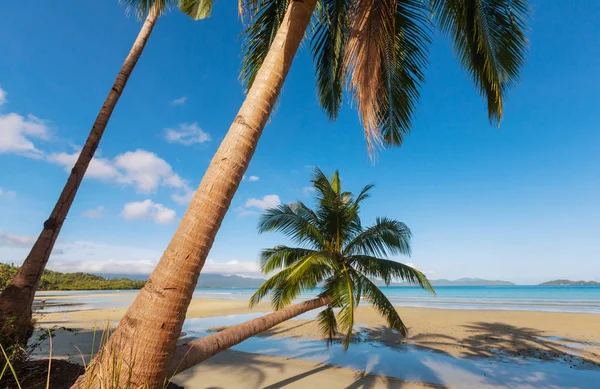 Rust tropisch strand — Stockfoto