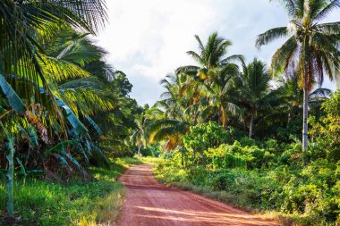Şaşırtıcı doğal görünümü