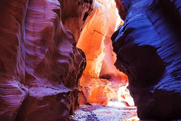 Boldog Canyon fantasztikus jelenet — Stock Fotó